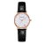 Foreign Trade Fashion Women 'S All-Match Leather Watch Student Casual Digital Bracelet Watch Quartz Watch Spot Wholesale