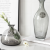 LD Ins Nordic Smoky Gray Bubble Glass Vase Creative Hydroponic Plant Vase Flower Holder Home Decoration