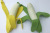 Squishy Banana Peeling Simulation Pulling Force Squeeze Vent Banana Squeezing Toy TPR Toy Pressure Reduction Toy