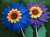 New Factory Direct Sales Double-Layer Sunflower Windmill Garden Activity Decoration Wooden Pole Windmill Hand-Held and Ground-Inserted