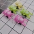 Hot Selling Product Frog Pull Back Car Cute Funny Style Macaron Color Mixed Capsule Toy Gift Accessories Blind Box Supply