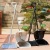 Commercial Cleaning Sweeping Broom Set Garbage Shovel KFC Cleaning Sets Sweeping Windproof Broom Dustpan Combination Set