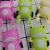 Hot Selling Product Frog Pull Back Car Cute Funny Style Macaron Color Mixed Capsule Toy Gift Accessories Blind Box Supply