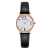 Foreign Trade Fashion Women's All-Match Leather Watch Student Casual Digital Bracelet Watch Quartz Watch Spot Wholesale