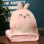 Cartoon Cushion Doll Quilt Dual-Use Coral Fleece Blanket for Girls Cute Cushion Office Sofas Nap Pillow