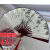 8-Inch 10-Inch Fan Female Folding Fan Male Fan Summer Fan for Daily Use Disco Spun Silk Fan Hanging Tassel Fan Pendants