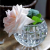 Medium Transparent Crystal Ball Wholesale Ball Flower Arrangement Hydroponic Home Decoration