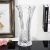 Crystal Glass Vase Ds30 Series Glass Vase Foreign Trade Wholesale Vase Flower Arrangement Hydroponics Home Ornaments