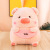 Bedroom Pillow Four Sides Soft and Adorable Lulu Pig Doll Plush Toy Soft Short Plush Doll in Stock Wholesale