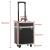 Universal Wheel Trolley Cosmetic Case Large Portable Multi-Layer Large Capacity with Lock Makeup Storage Tattoo Toolbox