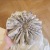 Korean Style Oversized Floral Hair Band Tree Fungus-like Lacework French Style Fairy Temperamental Tie-up Hair Head Rope Hair Rope Rubber Band Hair Accessories Women