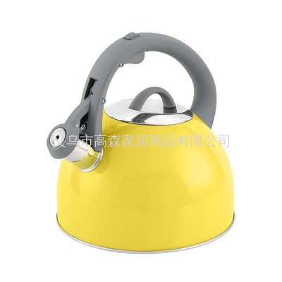 Foreign Trade Cross-Border Stainless Steel Whistle Kettle Gas Induction Cooker Household Water Boiling Sound Kettle in Stock Wholesale