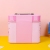 Bag for Women Cute Japanese Style Korean Large Capacity Portable Daily Necessities Storage Box Three-Piece Cosmetic Case