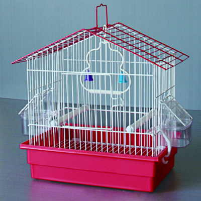 Small Bird Cage Wire Bird Cage Export