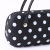 Fashion Glasses Case Portable Glasses Case