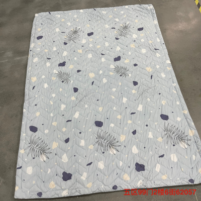 Handle! Handle! Handle! 20 Yuan! Washed Cotton Printed Multi-Needle Quilting Summer Quilt Airable Cover Summer Blanket