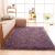 Household Long villi Carpet Living Room Coffee Table Bedroom Bedside Fluffy Carpet Solid Color Home Carpet Floor Mat Rug