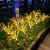 Solar New Rice Rice Lamp Led Inground Light Outdoor Artificial Flower Decorative Lamp Farm Garden Garden Lamp