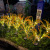 Solar New Rice Rice Lamp Led Inground Light Outdoor Artificial Flower Decorative Lamp Farm Garden Garden Lamp