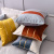 Simple Modern Netherlands Velvet Sofa Cushion Pillow Living Room Light Luxury Nordic Style Bed Head Wais Trest Pillowcase Big Backrest