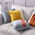 Simple Modern Netherlands Velvet Sofa Cushion Pillow Living Room Light Luxury Nordic Style Bed Head Wais Trest Pillowcase Big Backrest