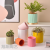 New Nordic Simple Ceramic Flower Pot Frosted Artistic Personality Indoor Green Radish Bonsai Succulent Indoor Flower Pot