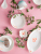 Camellia Plate Ceramic Rice Bowl Microwaveable Oven Rice Bowl Household Ins Style Tableware