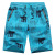 Sports Shorts Men's Summer Pirate Shorts Casual Shorts Men's Outdoor Exercise Shorts Cotton Stylish Beach Shorts