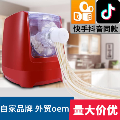 Noodle Maker Household Automatic Intelligent Electric Multi-Function Cross-Border Noodle Press