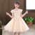 Girls' Dress Summer Dress Wholesale Korean Style Western Style Little Girl Puffy Mesh Princess Dress Children's Dress