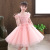 Girls' Dress Summer Dress Wholesale Korean Style Western Style Little Girl Puffy Mesh Princess Dress Children's Dress