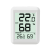 Household Baby Room Wet and Dry Digital Display Indoor Thermometer Foreign Trade Exclusive