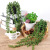 Cross-Border Simulation Plastic Flowers Artificial Fake Flower Plants Succulent Lover's Tears Plant Simulated Plants String of Pearls Buddha Beads Potted Rattan