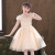 Girls' Dress Summer Dress Wholesale Korean Style Western Style Little Girl Puffy Mesh Princess Dress Children's Dress