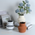 Modern Minimalist Creative Wide Mouth Ceramic Vase Creative Flower Dried Flower Living Room Desktop Soft Outfit Crafts Decoration