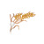 Jewelry Plant Ears of Wheat Brooch Female Korean Fashionable Golden Elegant Corsage Alloy Inlaid Zirconium Exquisite Pin