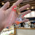 Quicksand Oil StellaLou Key Chain Floating Acrylic School Bag Key Pendants Milk Tea Doll Ornaments Keychain