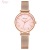 Jinmiou Mesh Strap Watch Simple Rose Gold Printed Dial Women's Korean Ins Style Fashion Watch K6399s