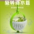 Manual Fruit and Vegetable Dehydration Machine Vegetable Basket Rotating Vegetable Washing and Water Throwing Dual-Use Basket Vegetable Drying and Water Removing Fabulous Draining Gadget