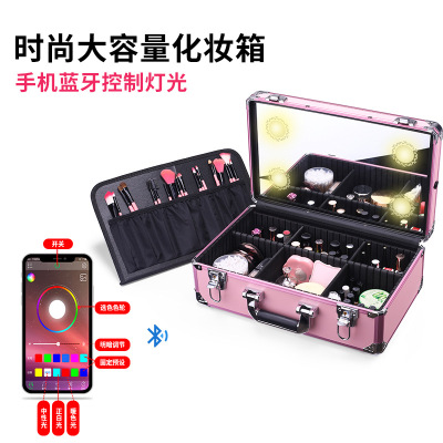 Cosmetic Case with Light Led with Mirror Portable Large Capacity Storage Tattoo Embroidery Makeup Artist Makeup Toolbox