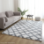 Silk Wool Carpet Printed Carpet Living Room Study Carpet Bedside Bedroom Carpet Washable Non-Slip Long Villi Rug