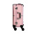 Cosmetic Case with Light Aluminum Alloy Pull Rod Makeup Fixing Box Hairdressing Tattoo Manicure Toolbox Light Box