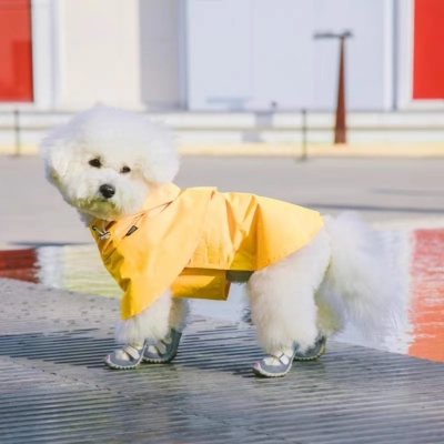 Pet Supplies Raincoat Pet Dog Dog Raincoat