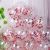 12-Inch 18-Inch Sequined Balloon Wedding Ceremony Wedding and Wedding Room Decoration Birthday Party Suit Decoration Rubber Balloons