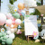 Camping Balloon Outdoor Picnic Party Scene Layout Balloon Chain Net Red Ins Wind Wild Baby Birthday Suit