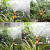 Garden Tools DIY Creative Watering Tools Lazy Watering Water-Saving Irrigation Various Styles