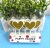 Spot Supply Gold Powder Stars Heart Birthday Candles Personalized Creative Birthday Cake Party Baking Decoration Candles