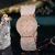 Cross-Border Luxury Fashion and Fully-Jewelled Watch Women's European and American Diamond Dial Gypsophila Watch Quartz Watch Wholesale