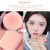 Soft Three-Dimensional Two-Color Contour Compact Natural Brightening Nose Shadow Blush Highlight Repair Makeup Palette