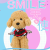 Dog Grid Pet Hand Holding Rope Cartoon Breathable Angel Wings Chest Strap Suit Cute Cat Chest Strap